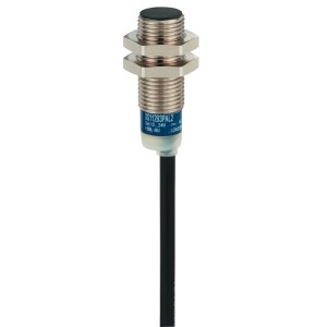 inductive sensor XS6 M12 - L53mm - brass - Sn4mm - 24..240VAC/DC - cable 2m