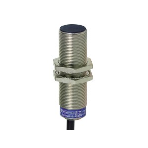 inductive sensor XS6 M18 - L62mm - brass - Sn8mm - 12..48VDC - cable 2m